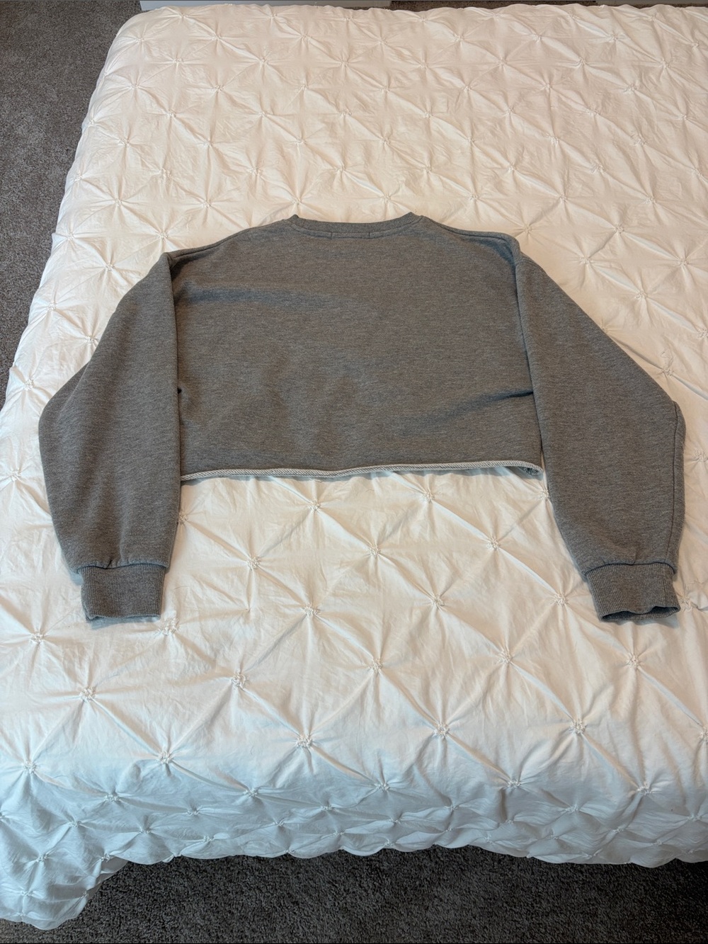 Raw-Hem Cropped Crewneck Sweatshirt - Gray - Picture 3 of 7